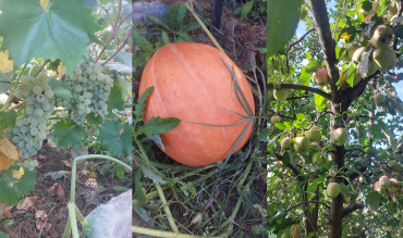 Echinocțiul de toamnă – momentul de echilibru dintre zi și noapte